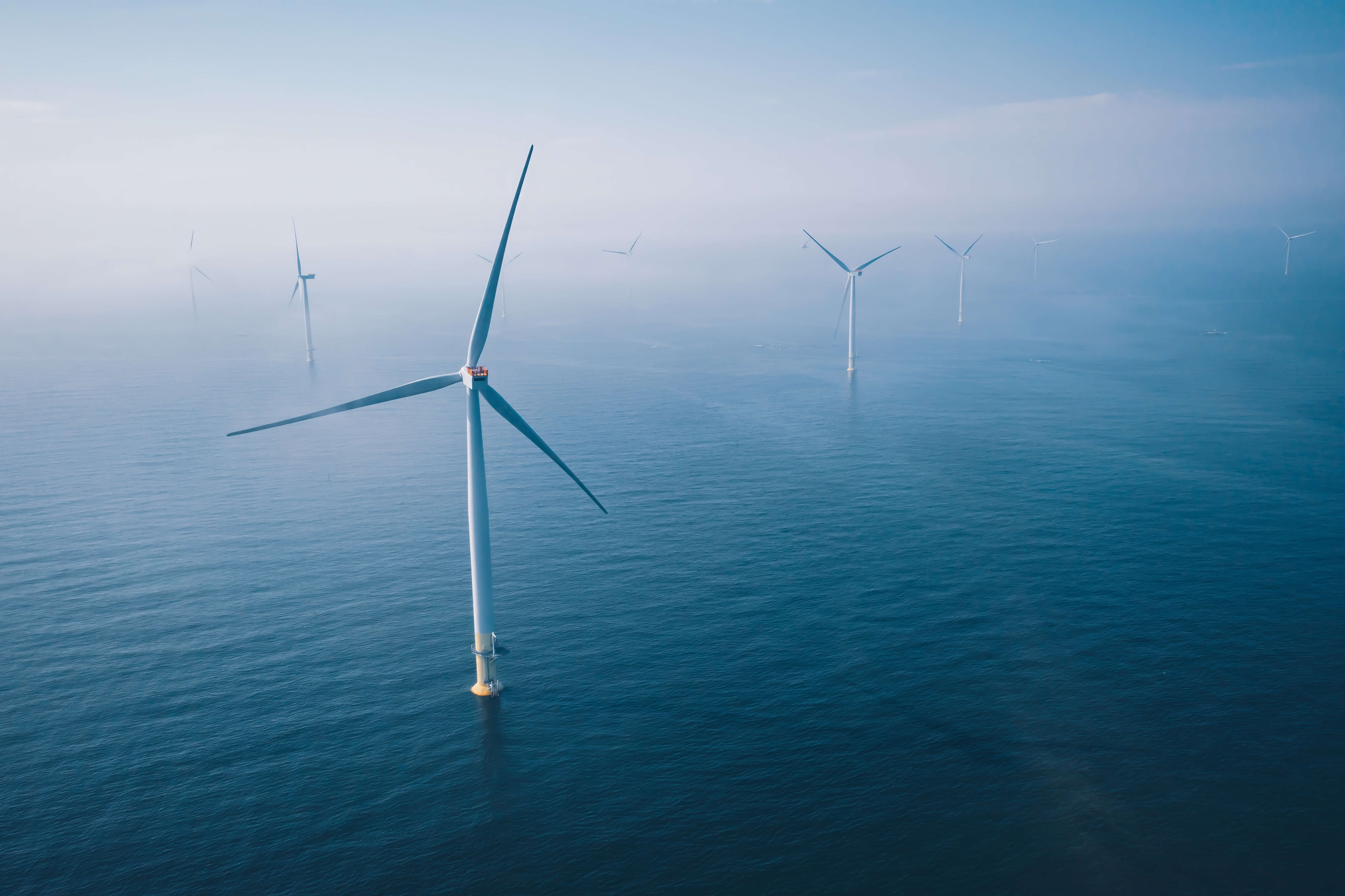 TrueOcean Offshore Wind Energy Hero Screen