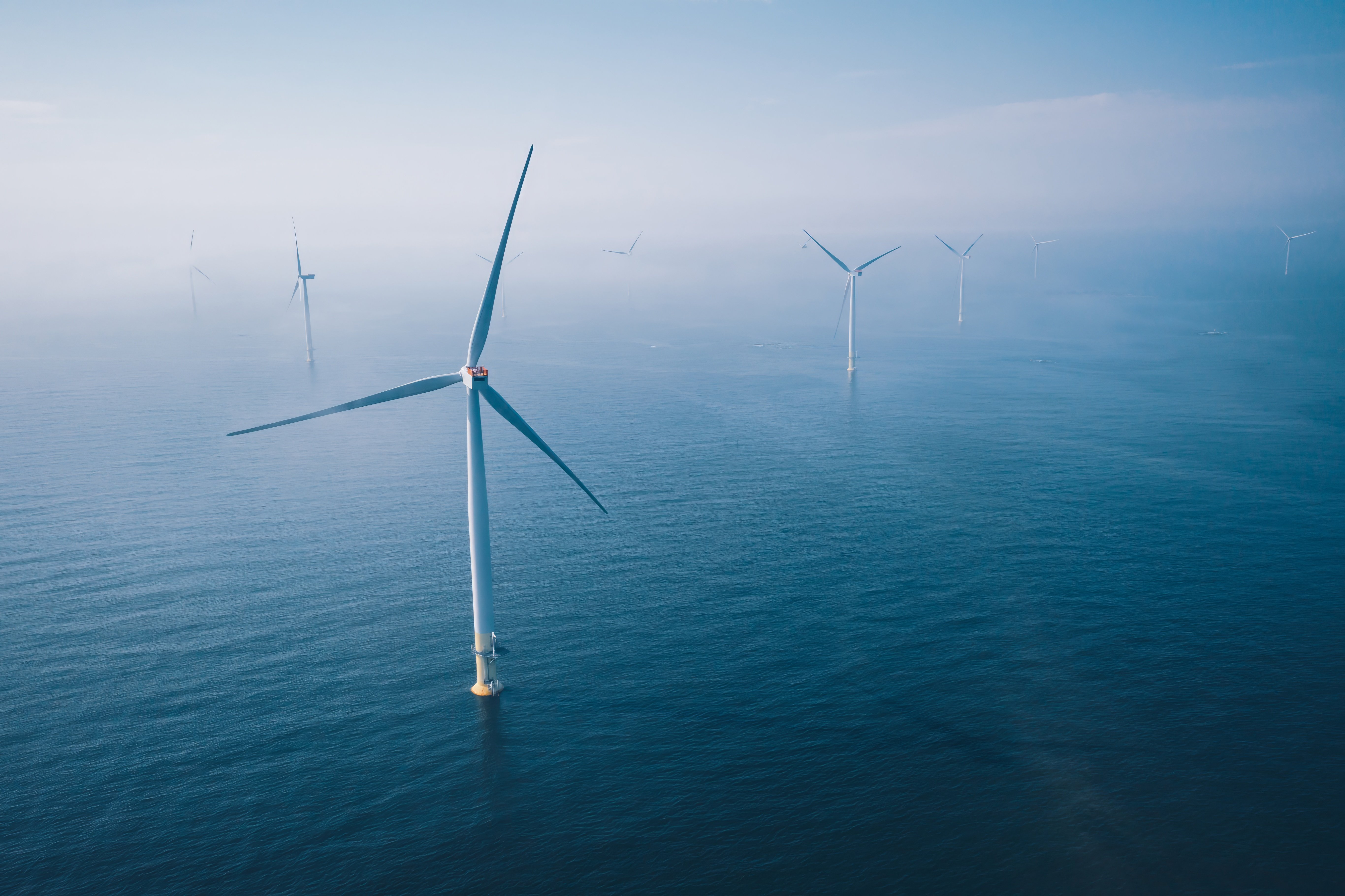 TrueOcean Offshore Wind Energy Hero Screen