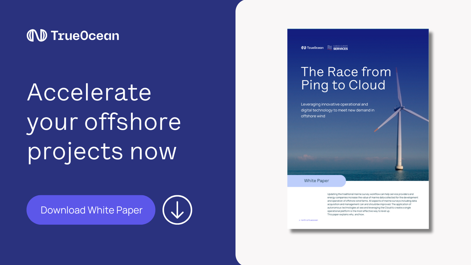 TrueOcean-Featured Image-Whitepaper The Race from Ping to Cloud